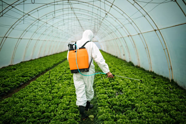 Best Commercial Pest Control Services  in Anna, TX