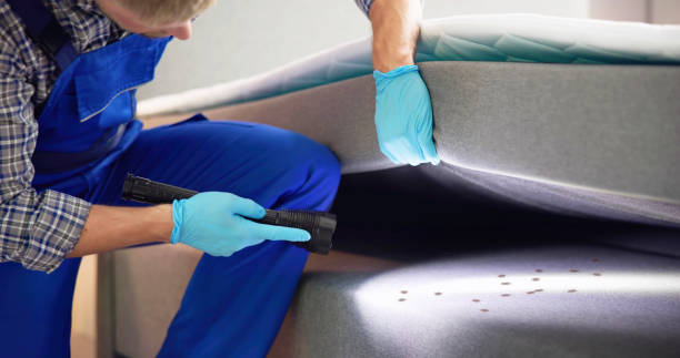 Best Emergency Pest Control  in Anna, TX