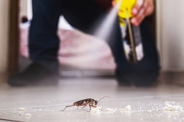 Best Pest Prevention Services  in Anna, TX