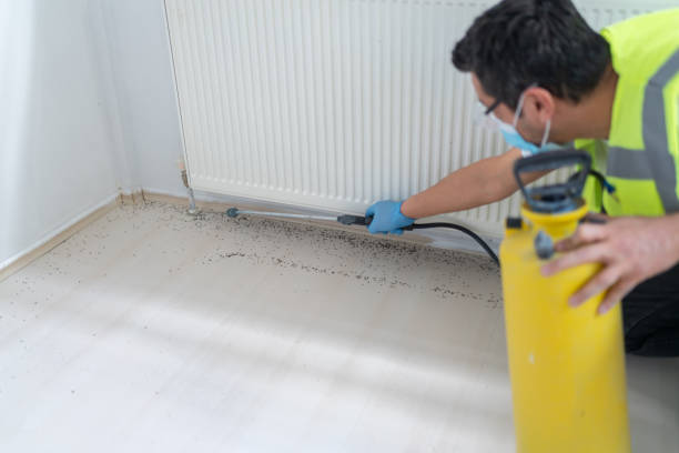 Best Best Pest Control Companies  in Anna, TX